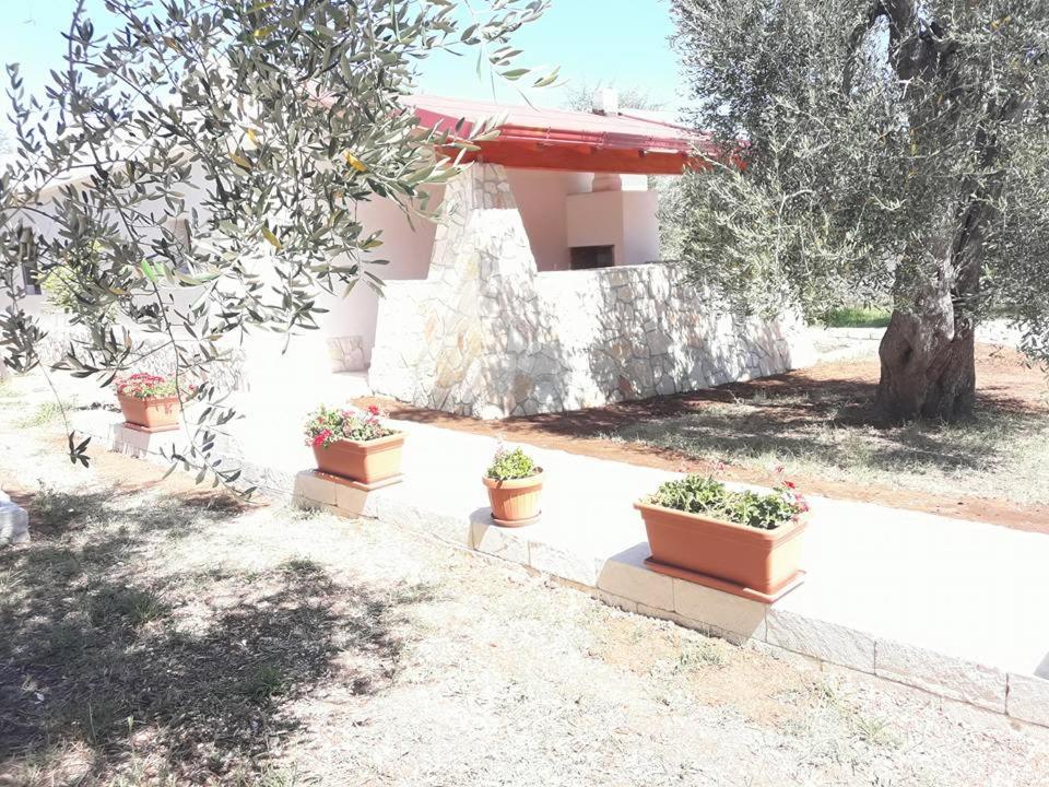 Borgo Cerasa Bed & Breakfast Vieste Exterior foto